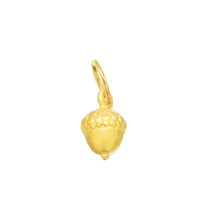 Acorn for Renewal