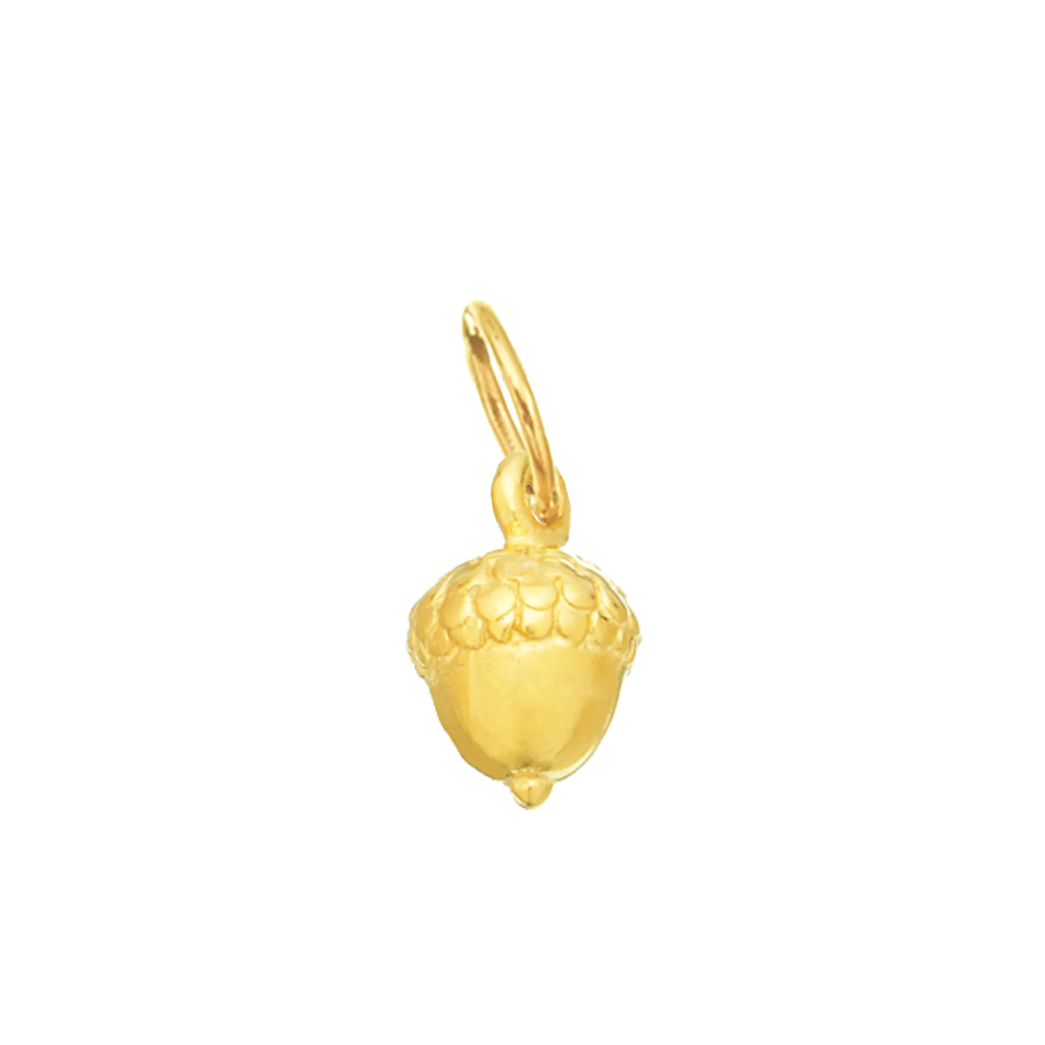 Acorn for Renewal