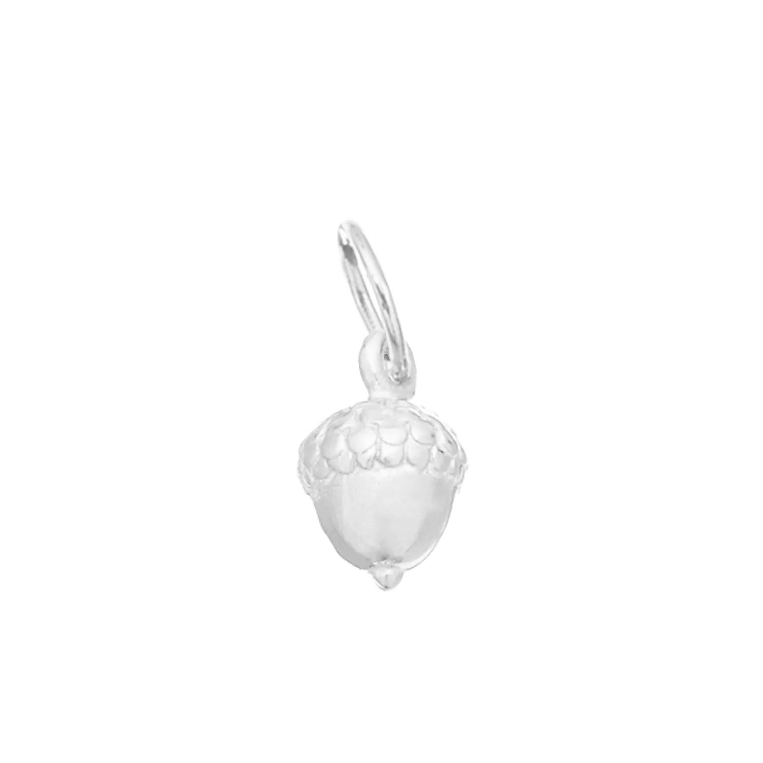 Acorn for Renewal