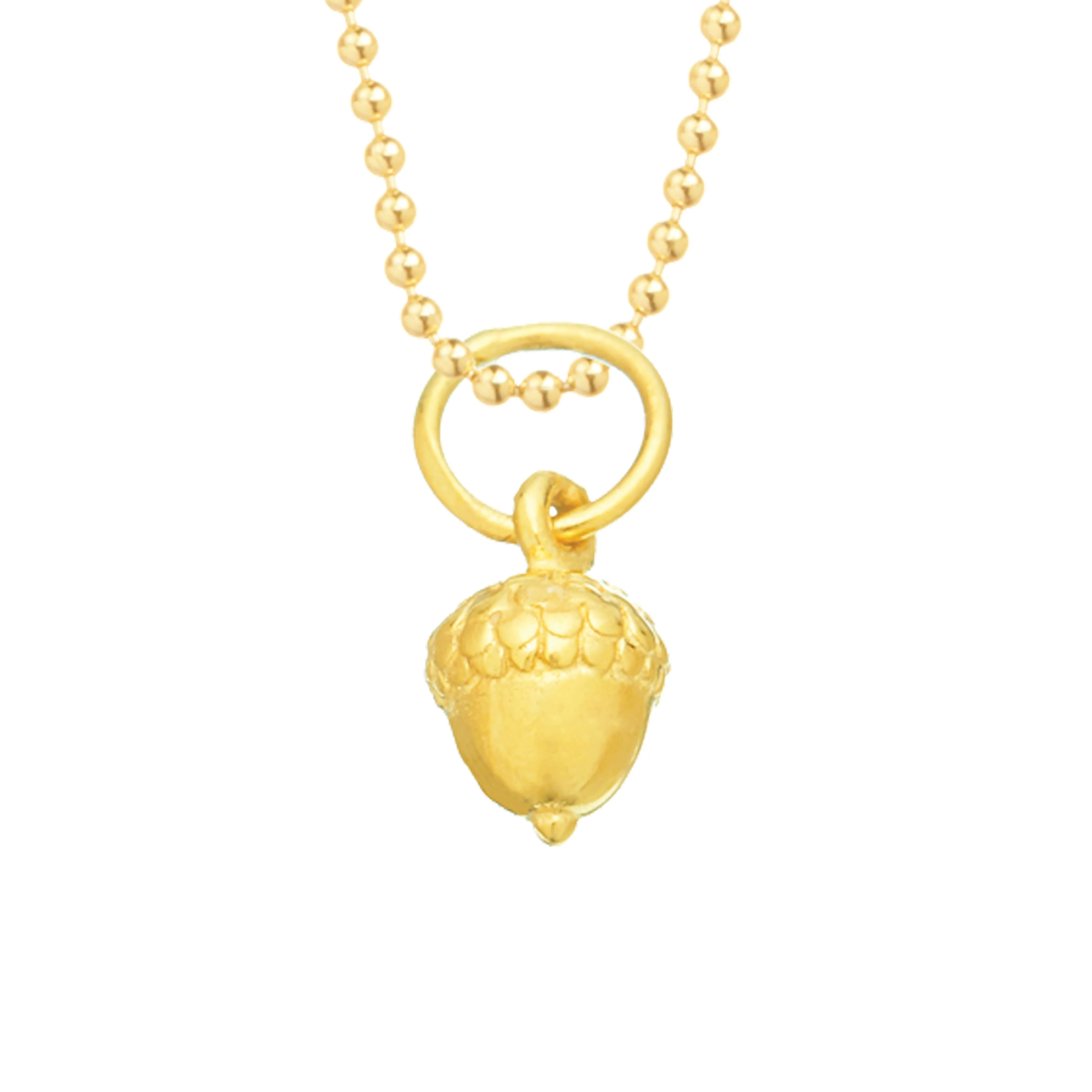 Acorn for Renewal