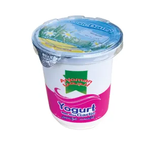 Anjoman Yogurt & Shallot 400ml