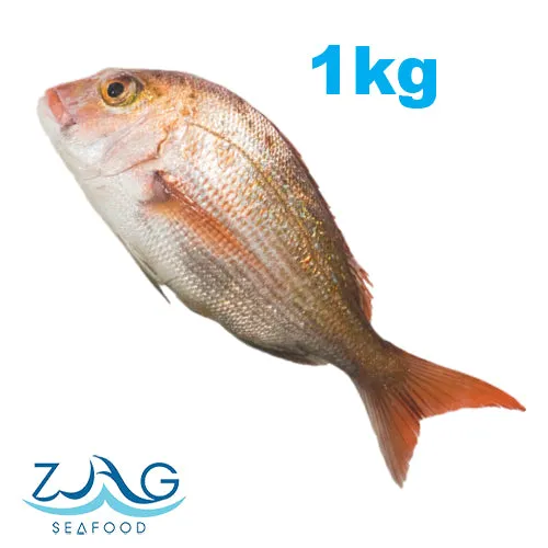 Australian Snapper (Whole)