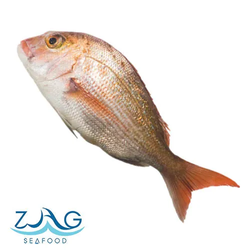 Australian Snapper (Whole)