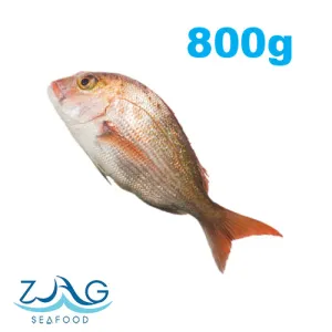 Australian Snapper (Whole)