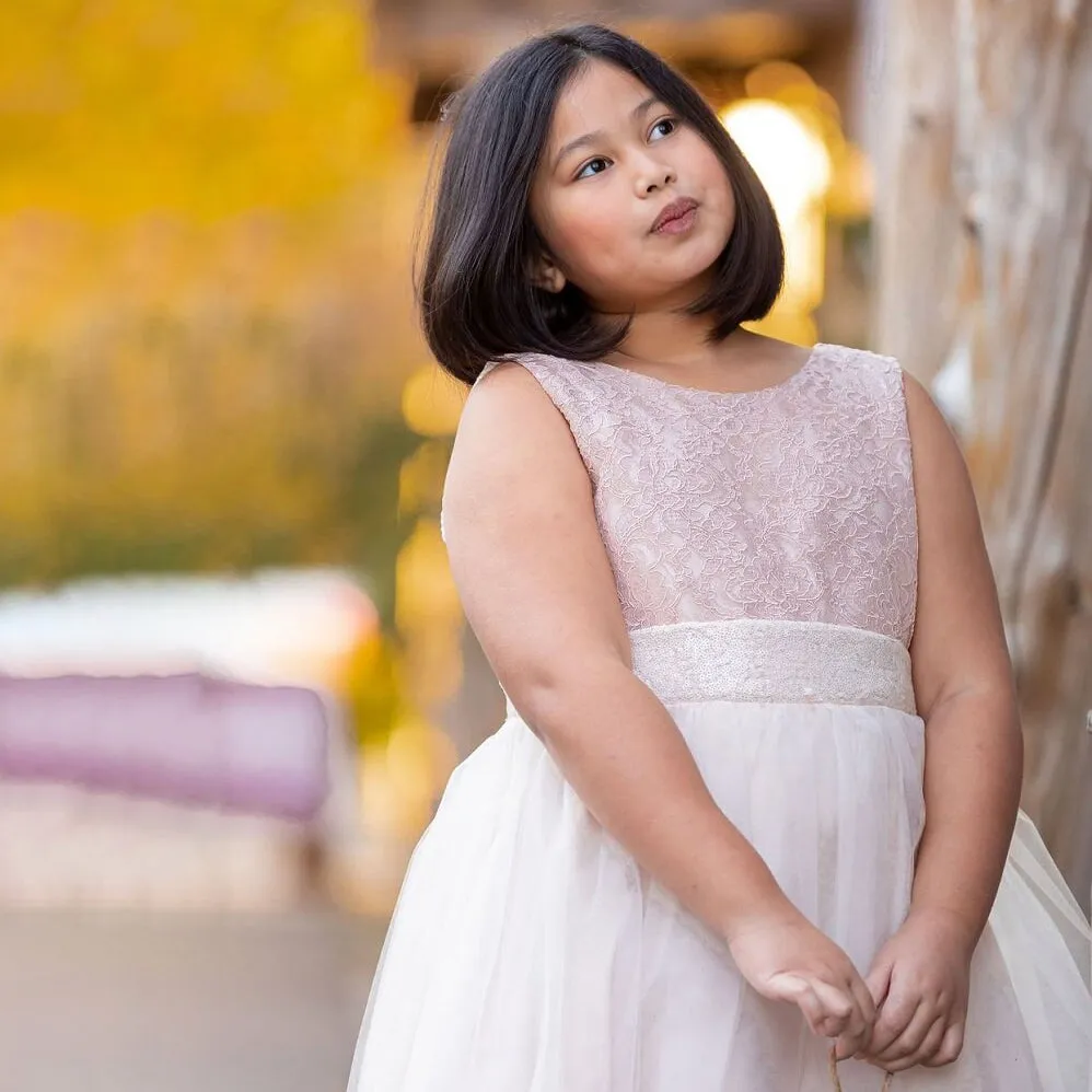 Belle of the Ball Dress -  Blush Pink Lace and Sequins