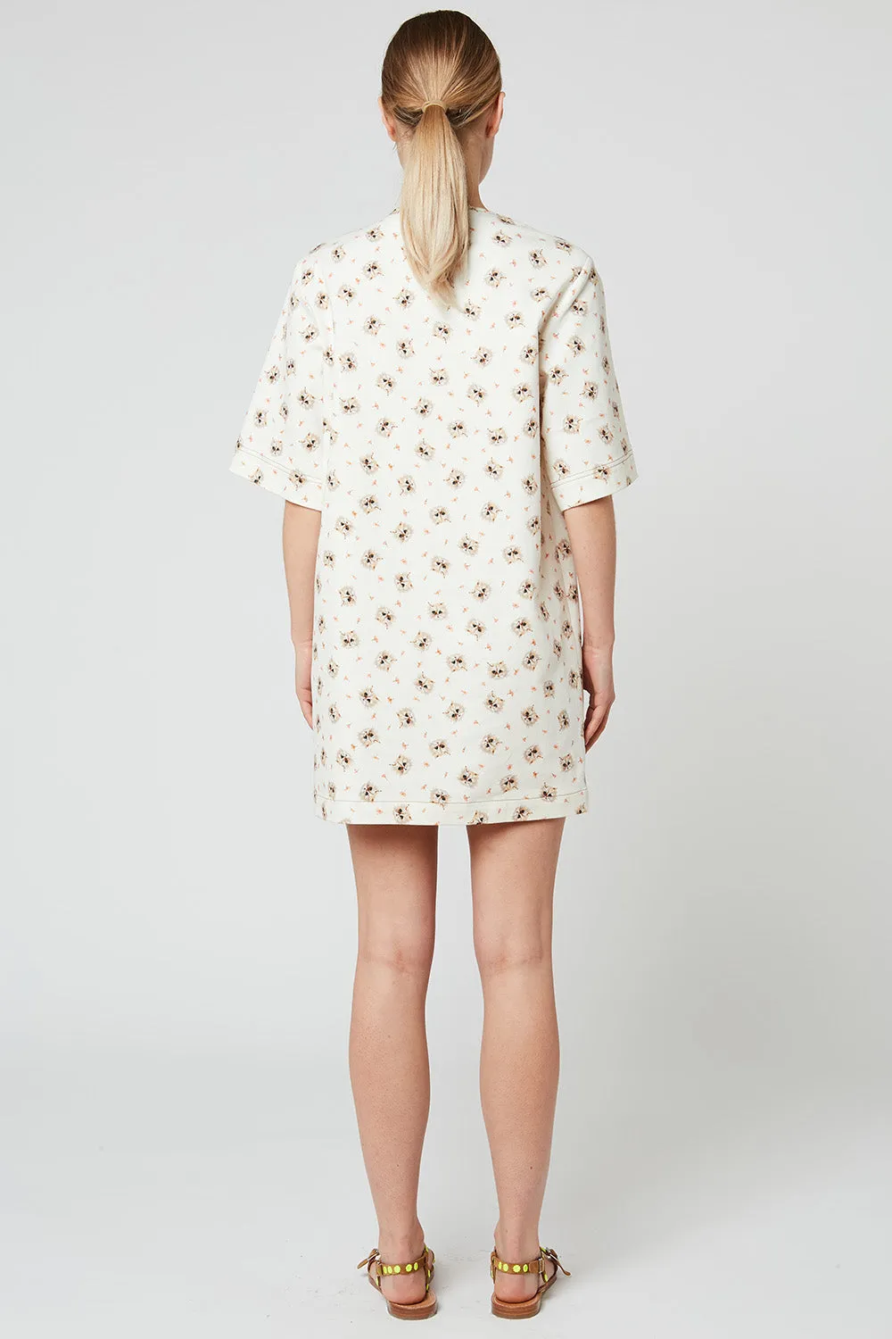Clara Dress