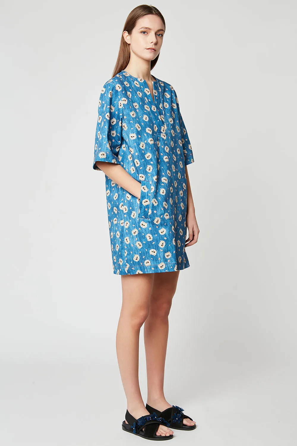 Clara Dress