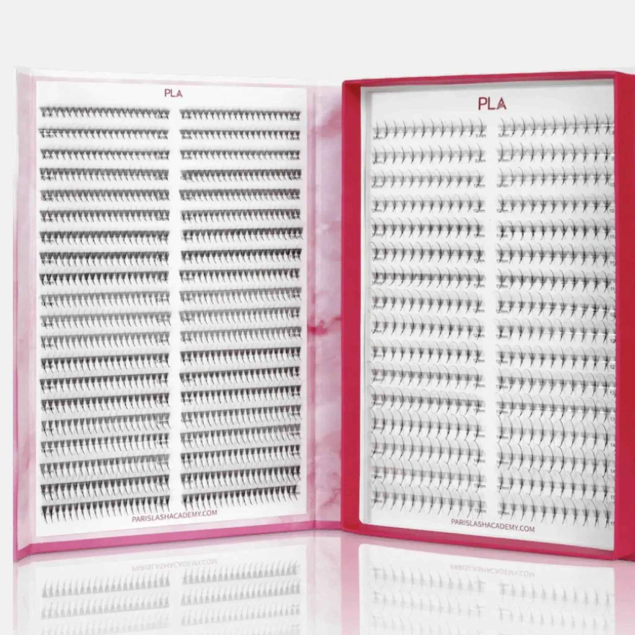 Deluxe Wispy Kit 9D Bold/11D Wispy