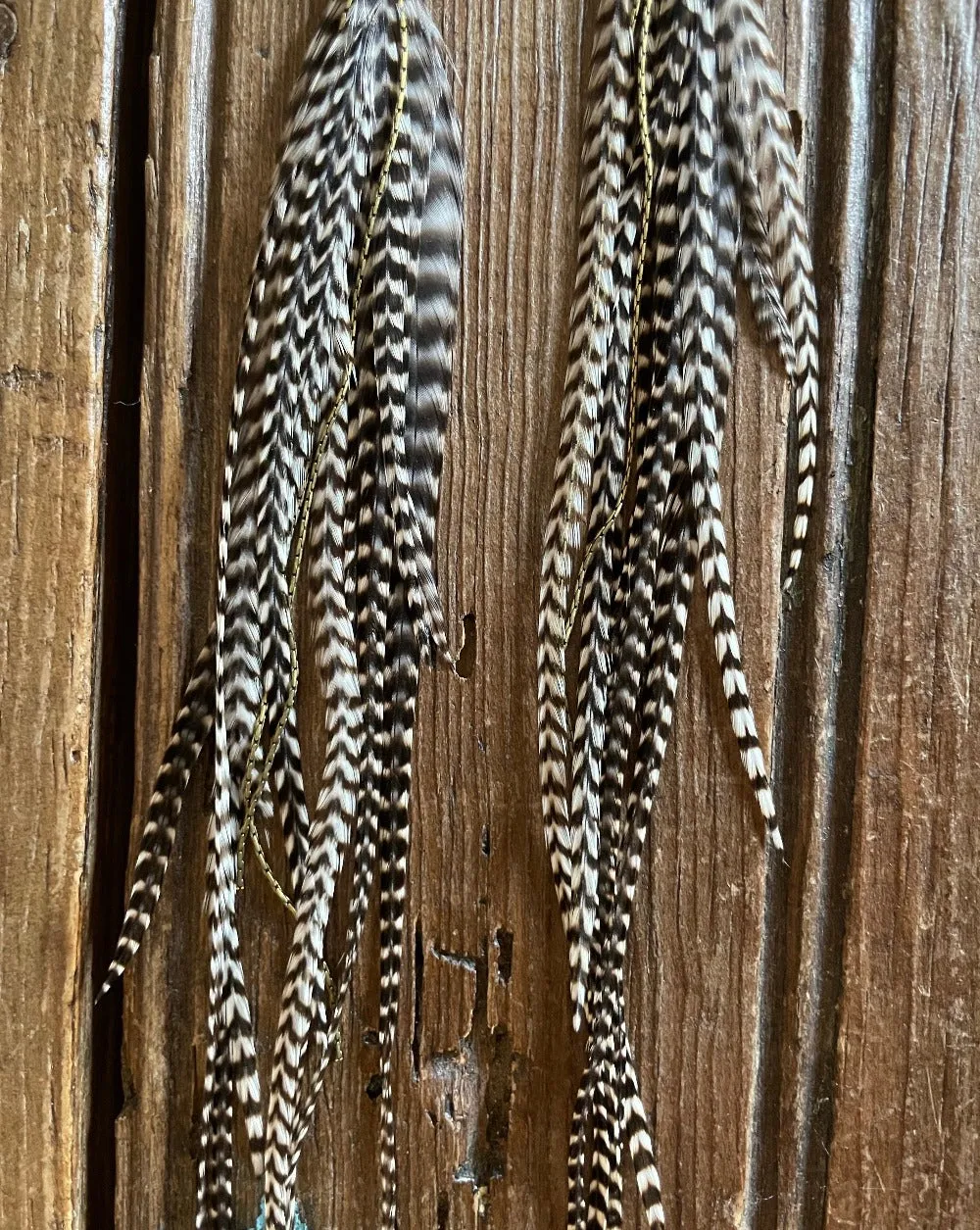 Gaia Turquoise and Feather Earrings
