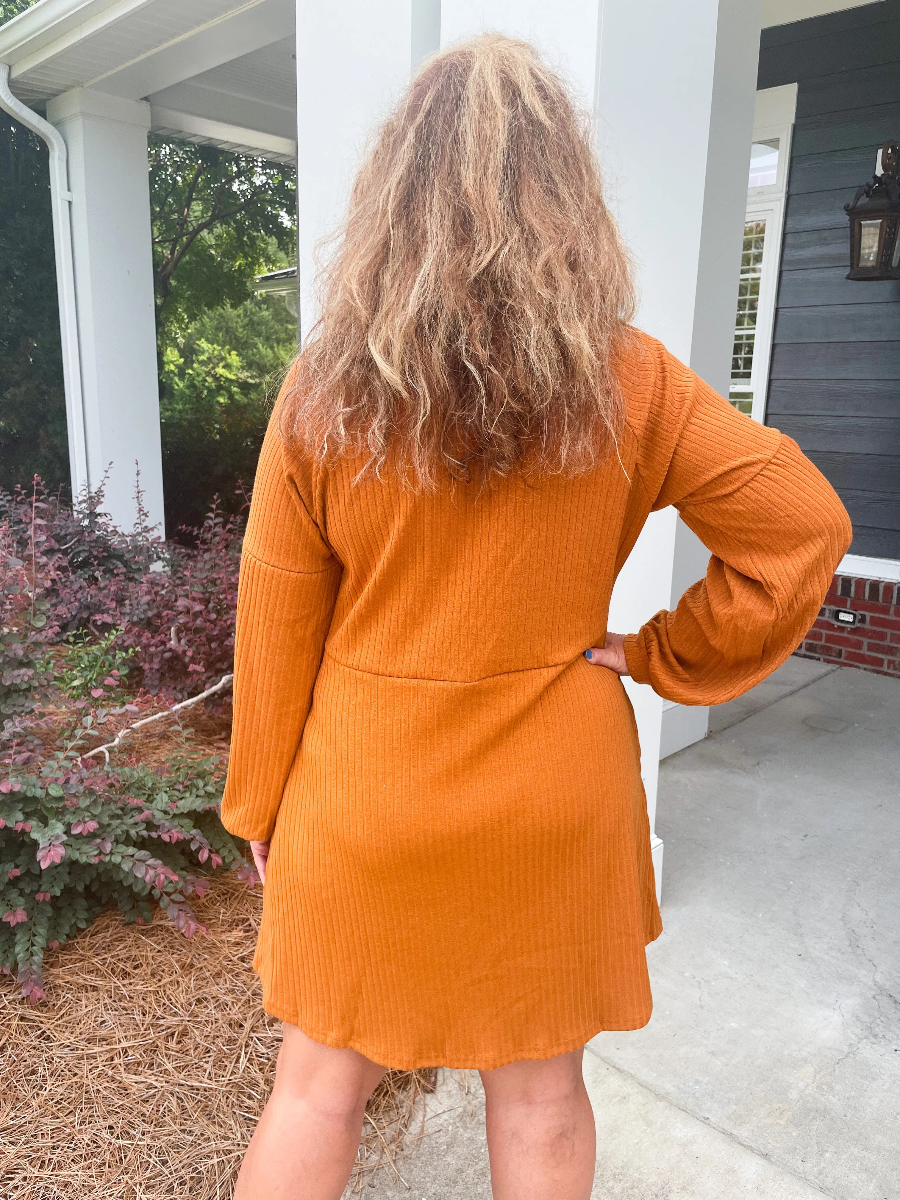 Living For Fall Dress