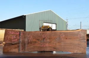 Oregon Black Walnut Slab 092622-02