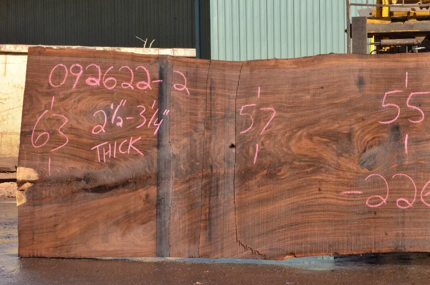 Oregon Black Walnut Slab 092622-02