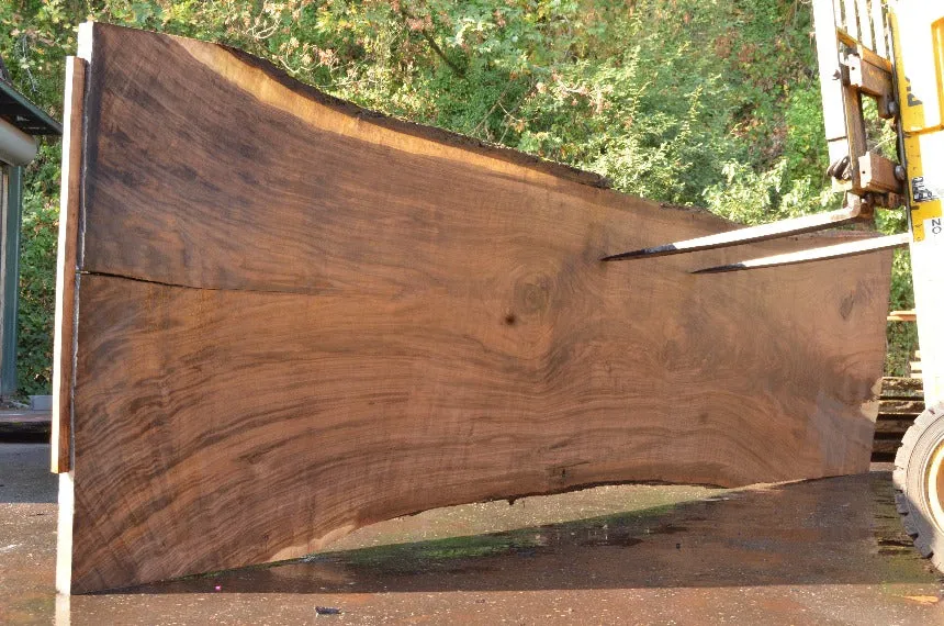 Oregon Black Walnut Slab 092622-02