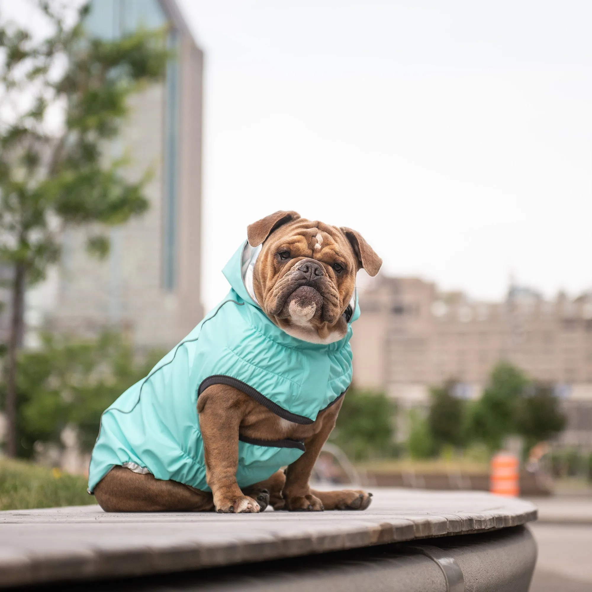Reversible Raincoat - Neon Aqua w/ Iridescent Side