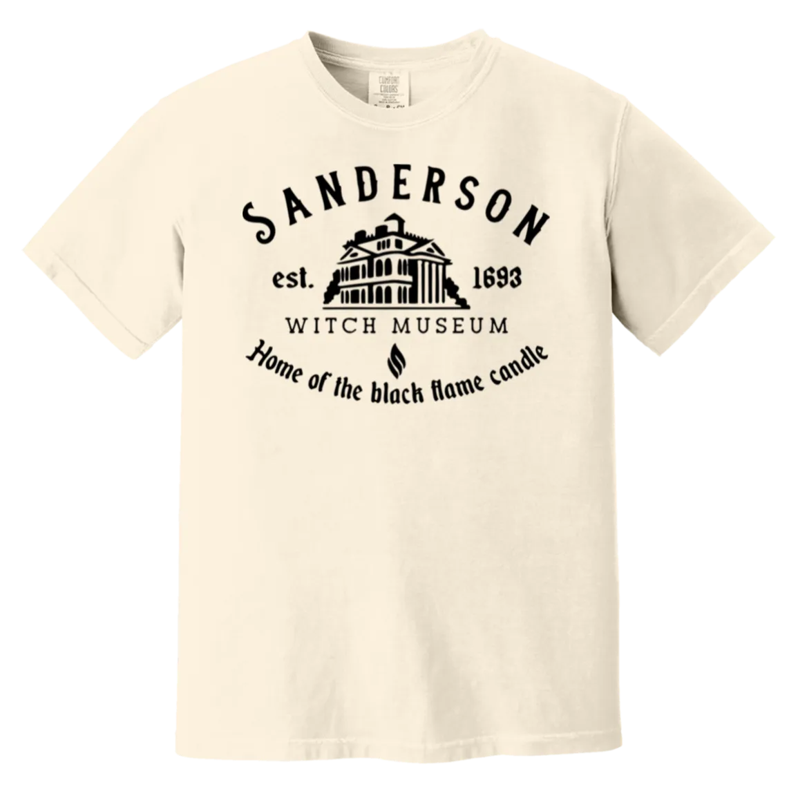Sanderson Museum Hocus Pocus T-Shirt – Witchy Halloween Comfort Colors Tee