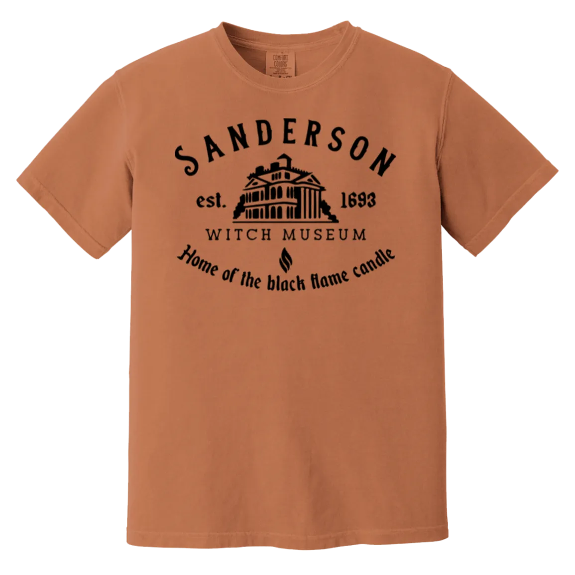 Sanderson Museum Hocus Pocus T-Shirt – Witchy Halloween Comfort Colors Tee