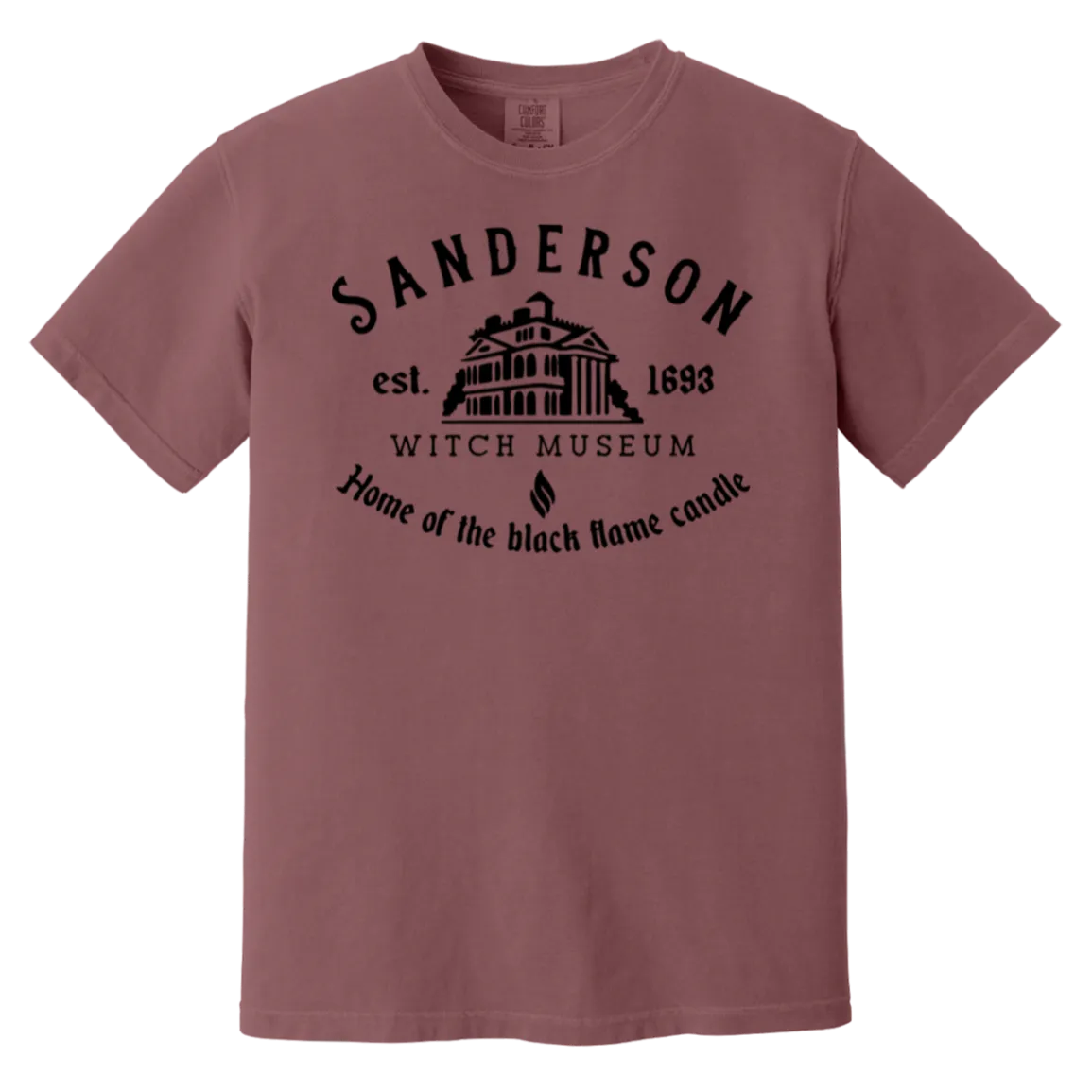 Sanderson Museum Hocus Pocus T-Shirt – Witchy Halloween Comfort Colors Tee