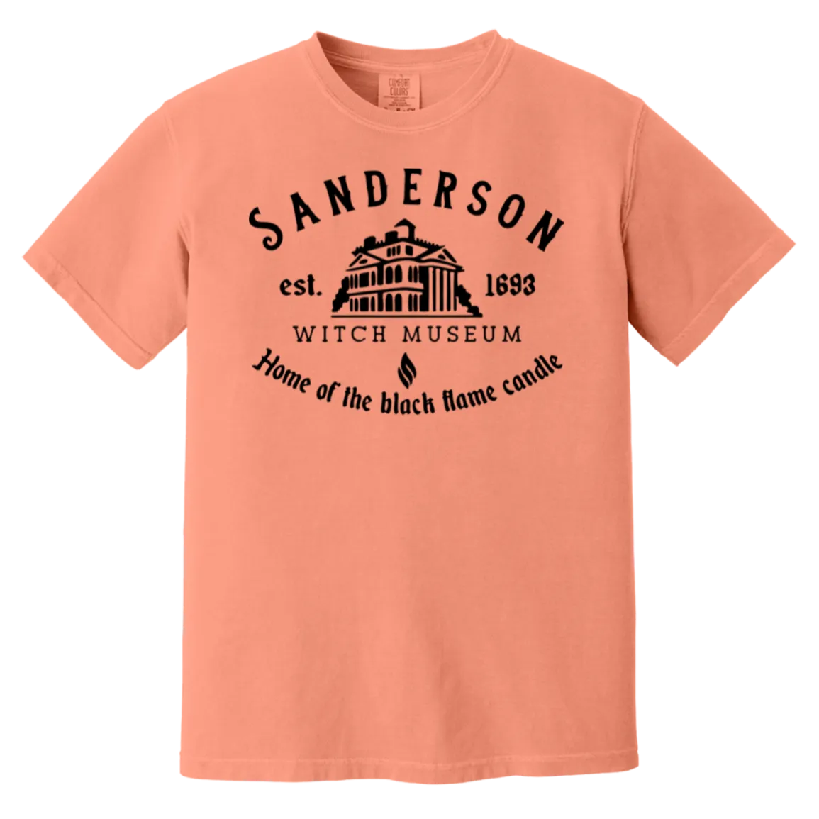 Sanderson Museum Hocus Pocus T-Shirt – Witchy Halloween Comfort Colors Tee