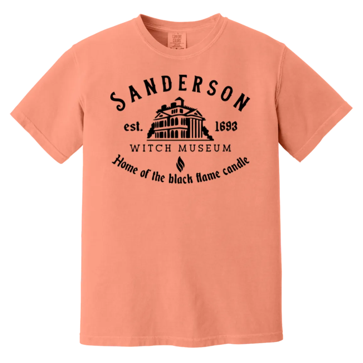 Sanderson Museum Hocus Pocus T-Shirt – Witchy Halloween Comfort Colors Tee