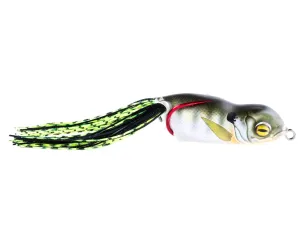 SCUM FROG LAUNCH SERIES