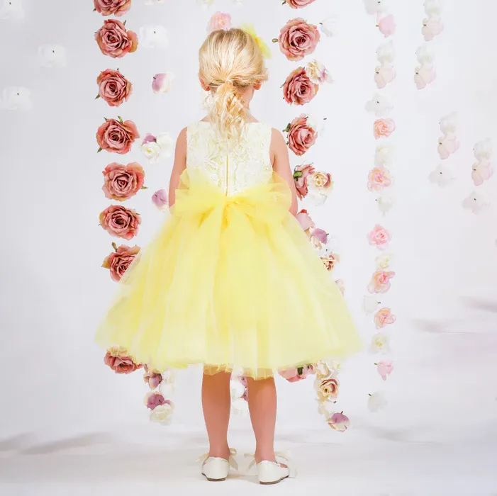 Sophia Dress - Lemon (No Sash)