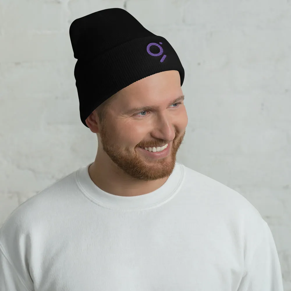 The Graph Cuffed Beanie